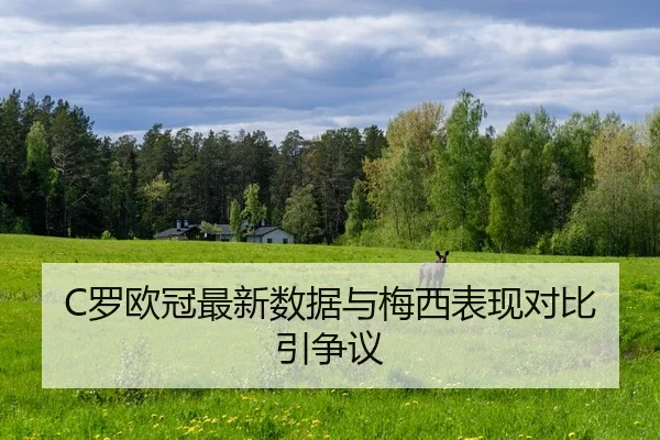 C罗欧冠最新数据与梅西表现对比引争议